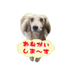 キャロルとシェリーの日常（個別スタンプ：18）