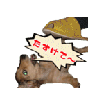 キャロルとシェリーの日常（個別スタンプ：20）