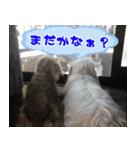 キャロルとシェリーの日常（個別スタンプ：25）