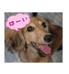 キャロルとシェリーの日常（個別スタンプ：26）