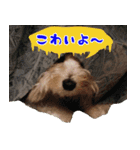 キャロルとシェリーの日常（個別スタンプ：27）