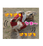 キャロルとシェリーの日常（個別スタンプ：28）