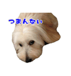 キャロルとシェリーの日常（個別スタンプ：32）