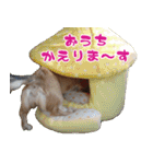 キャロルとシェリーの日常（個別スタンプ：36）