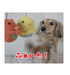キャロルとシェリーの日常（個別スタンプ：39）