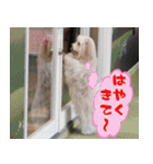 キャロルとシェリーの日常（個別スタンプ：40）