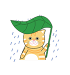 salmonthecowardlycat（個別スタンプ：8）