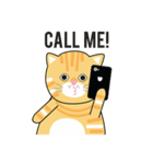 salmonthecowardlycat（個別スタンプ：11）