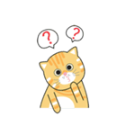 salmonthecowardlycat（個別スタンプ：27）