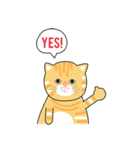 salmonthecowardlycat（個別スタンプ：31）