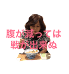 キャンさん専用No.1（個別スタンプ：8）