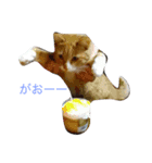 うちのレオ（個別スタンプ：7）
