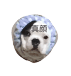 ふれぶる。（個別スタンプ：3）