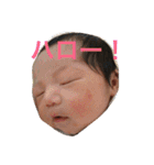 ゆうちゃん図鑑（個別スタンプ：1）