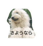 わたしはロゼル（個別スタンプ：3）