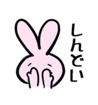 日常うさぎさん（個別スタンプ：36）