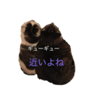 しーちょの生活（個別スタンプ：10）