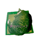 しーちょの生活（個別スタンプ：11）