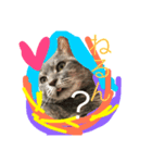 グレは猫（個別スタンプ：3）