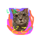グレは猫（個別スタンプ：5）