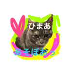 グレは猫（個別スタンプ：8）
