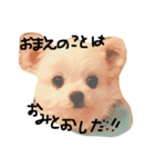 桃太郎通信Ⅱ（個別スタンプ：6）