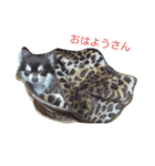 チワワ秘話11（個別スタンプ：1）