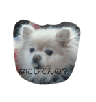 モモとナナ（個別スタンプ：1）