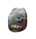 モモとナナ（個別スタンプ：4）