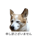 らん2（個別スタンプ：3）