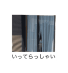 らん2（個別スタンプ：8）