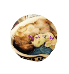 チーム河川敷（個別スタンプ：29）
