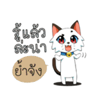 JK＆T(Naughty Cat)（個別スタンプ：4）