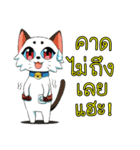 JK＆T(Naughty Cat)（個別スタンプ：17）