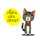 JK＆T(Naughty Cat)（個別スタンプ：19）