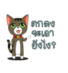 JK＆T(Naughty Cat)（個別スタンプ：21）