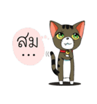JK＆T(Naughty Cat)（個別スタンプ：29）