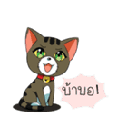 JK＆T(Naughty Cat)（個別スタンプ：31）