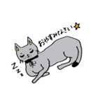 グレーの猫 mimi（個別スタンプ：37）