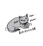 グレーの猫 mimi（個別スタンプ：40）