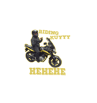 dizziness（個別スタンプ：6）