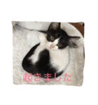 弓道ネガティヴ（個別スタンプ：13）