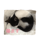 弓道ネガティヴ（個別スタンプ：14）