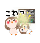 夏だ！使える！！幸せのプク郎（個別スタンプ：22）