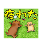 ダックスルイちゃん（個別スタンプ：12）