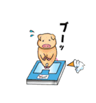ダックスルイちゃん（個別スタンプ：16）