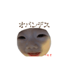 つむぎの日常（個別スタンプ：4）