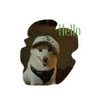 Happy Dog LuLu（個別スタンプ：3）