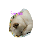 Happy Dog LuLu（個別スタンプ：8）