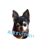 アンリは女の子です（個別スタンプ：2）